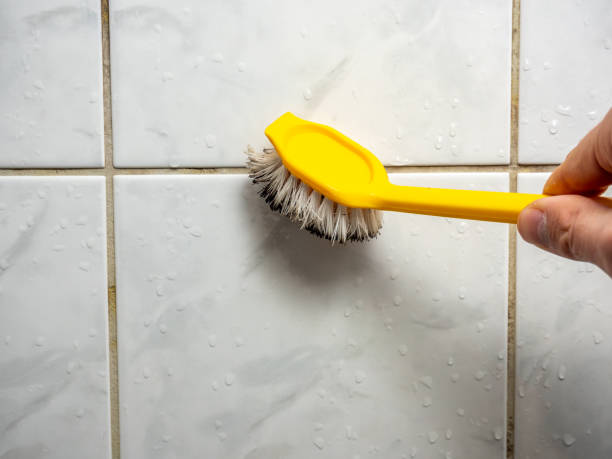 Best Mold Remediation  in Stony Point, NC