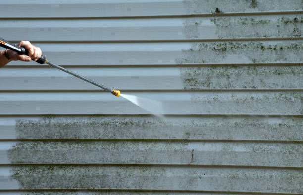Best Attic Mold Removal  in Stony Point, NC