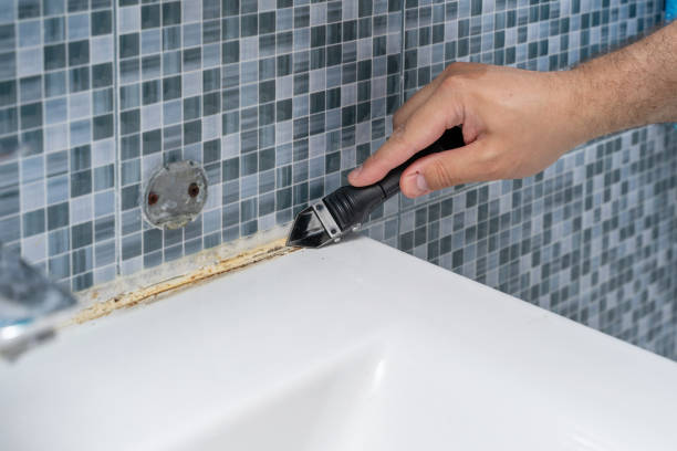 Best Affordable Mold Removal  in Stony Point, NC