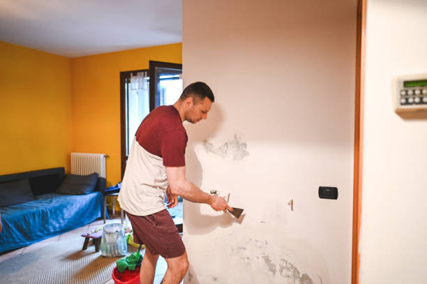 Professional Mold Removal in Stony Point, NC